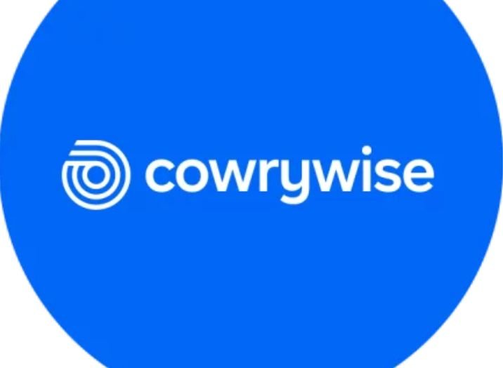 Forgot my cowrywise Password and Pin - How to Reset, Change, and Recover cowrywise Password and Pin