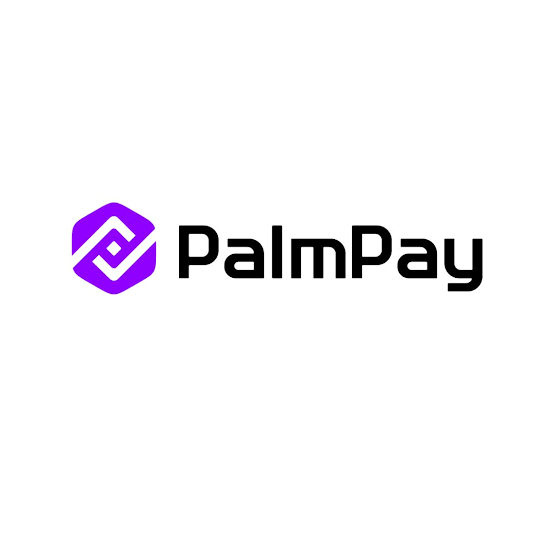 How to Upgrade your Palmpay account easily