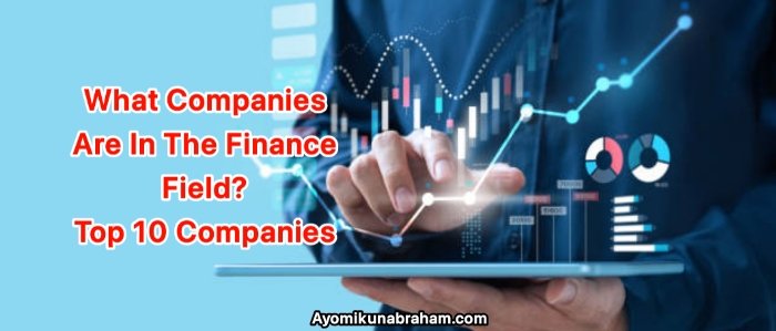 What Companies Are In The Finance Field? Top 10 finance companies 2023
