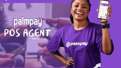 How to become palmpay Aggregator and Palmpay Agent