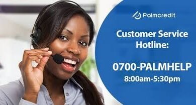 Palmcredit customer Care WhatsApp number, phone number, email address, and office address.