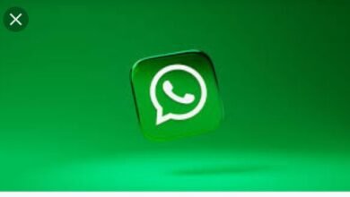 How To Create A WhatsApp TV And Make Money From It.